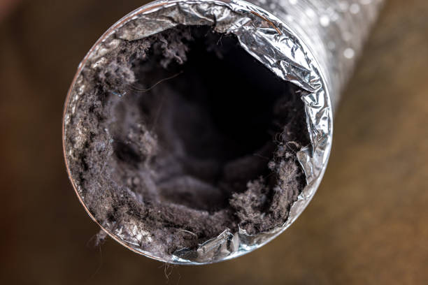 Best HVAC Air Duct Cleaning  in Largo, FL