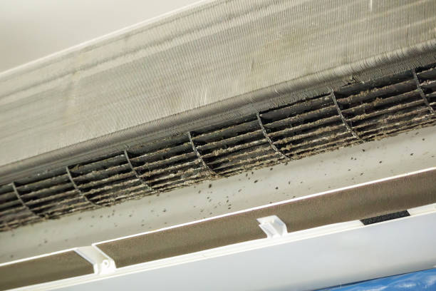 Best Air Duct Cleaning Near Me  in Largo, FL